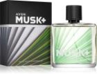 Musk+ Metropolitano — изображение 2