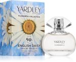 Flowerful English Daisy — изображение 2