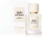 Atelier des Fleurs Hibiscus Abelmoschus — изображение 2