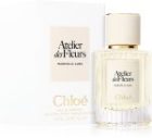 Atelier des Fleurs Magnolia Alba — изображение 2