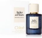 Atelier des Fleurs Orchidée de Minut — изображение 2