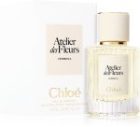 Atelier des Fleurs Verbena — изображение 2
