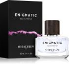 Enigmatic — изображение 2