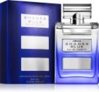 Shades Blue — изображение 2