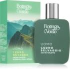 Cedro Selvaggio — изображение 2