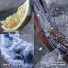 Invictus — изображение 2