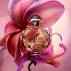 Olympéa Solar — изображение 2