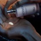 Sauvage — изображение 2