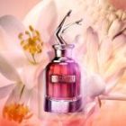 Scandal So Scandal! — изображение 2