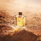 Terre d’Hermès Eau Intense Vétiver — изображение 2
