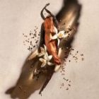 ZADIG — изображение 2