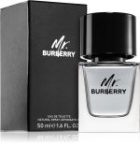 Mr. Burberry — изображение 2