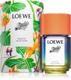 Paula’s Ibiza Eclectic — изображение 2