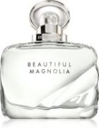 Beautiful Magnolia
