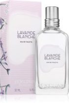 White Lavender — изображение 2