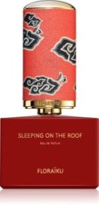 Sleeping on the roof — изображение 2