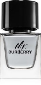 Mr. Burberry