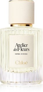 Atelier des Fleurs Herba Mimosa