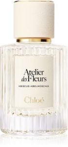 Atelier des Fleurs Hibiscus Abelmoschus