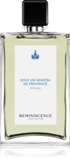 Sous un Mimosa de Provence