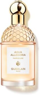 Aqua Allegoria Pamplelune
