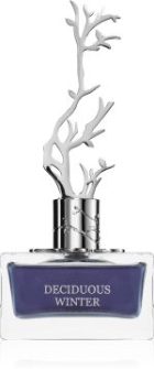 Deciduous Winter — изображение 2