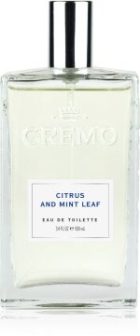 Spray Cologne Citrus & Mint Leaf