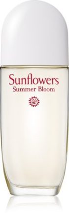 Sunflowers Summer Bloom
