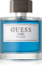 1981 Indigo