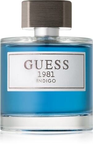 1981 Indigo — изображение 1