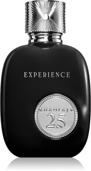 25 Experience — изображение 1