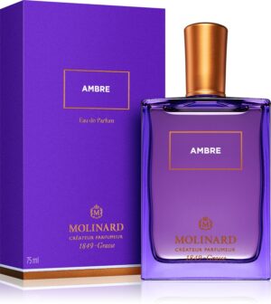 Ambre — изображение 2