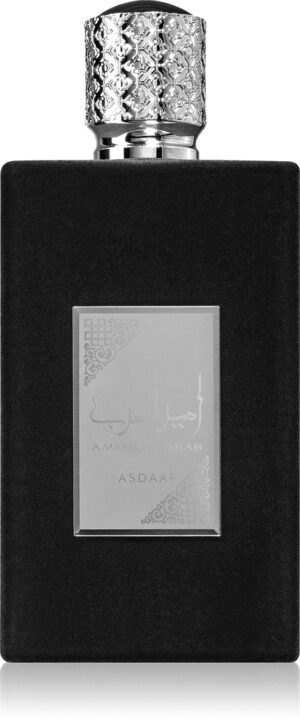 Ameer Al Arab — изображение 1