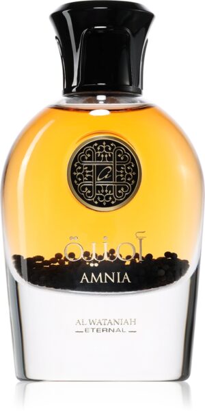Amnia — изображение 1