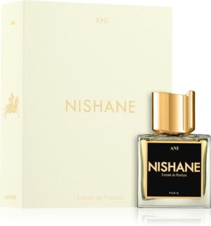 Ani — изображение 2