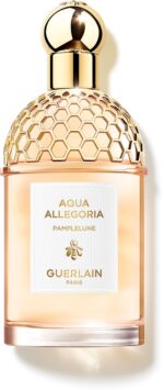 Aqua Allegoria Pamplelune