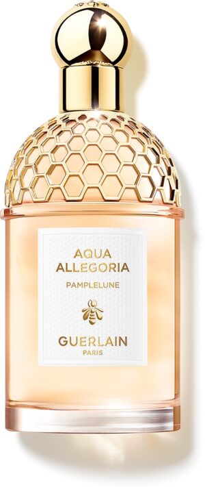 Aqua Allegoria Pamplelune — изображение 1