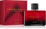 Ascendant Intense — изображение 2