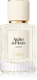 Atelier des Fleurs Cedrus