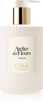 Atelier des Fleurs Cedrus