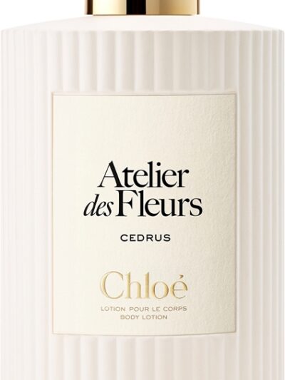 Atelier des Fleurs Cedrus