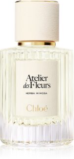 Atelier des Fleurs Herba Mimosa