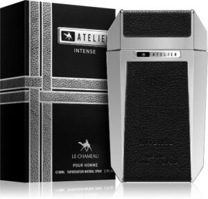 Atelier Intense — изображение 2