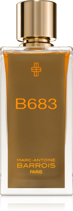 B683 — изображение 1