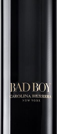 Bad Boy