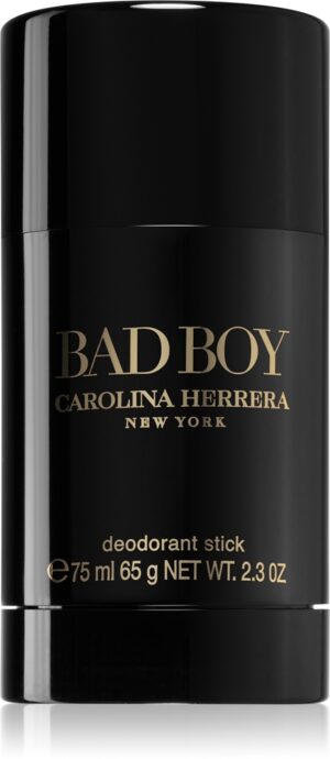 Bad Boy — изображение 1