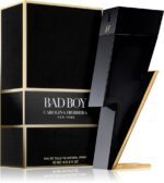 Bad Boy — изображение 2