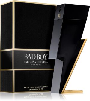 Bad Boy — изображение 2