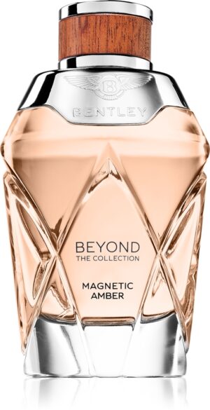 Beyond The Collection Magnetic Amber — изображение 1