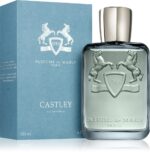 Castley — изображение 2